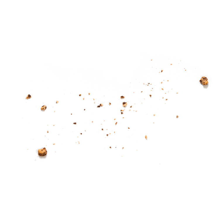 Cake crumbs
