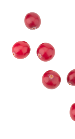 Cranberry